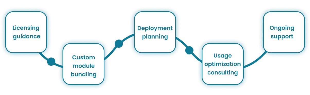 office 365 license chart