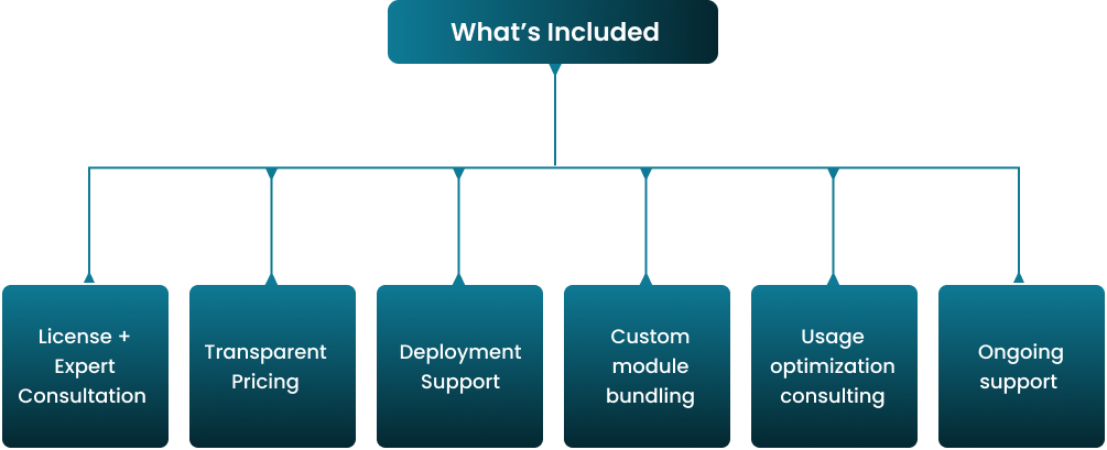 office 365 license chart