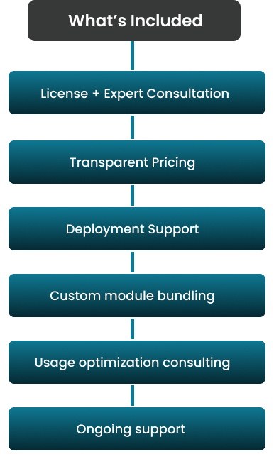 office 365 license Info