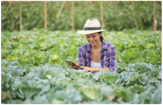 environment software development services