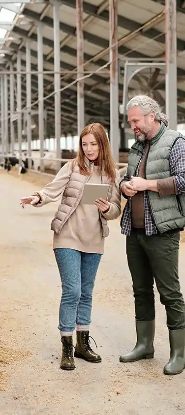 eCommerce Portal for Ranchers' Products - 01