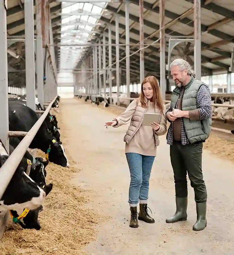 eCommerce Portal for Ranchers' Products - 02