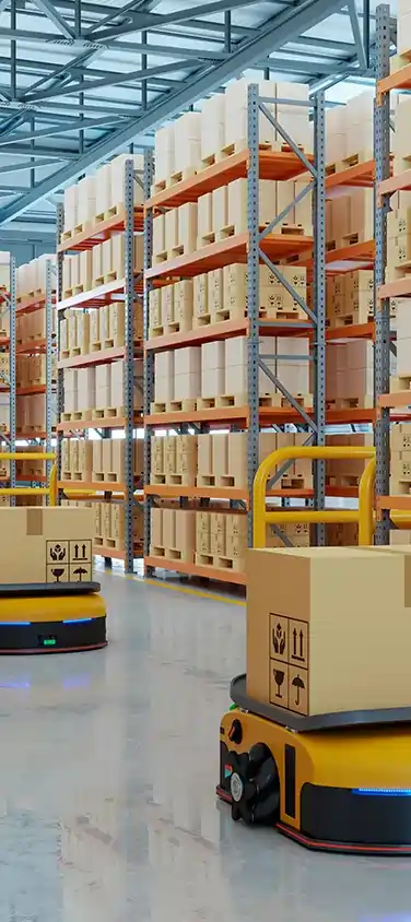 Life Cycle Assessment System for Packaging Industry - 01