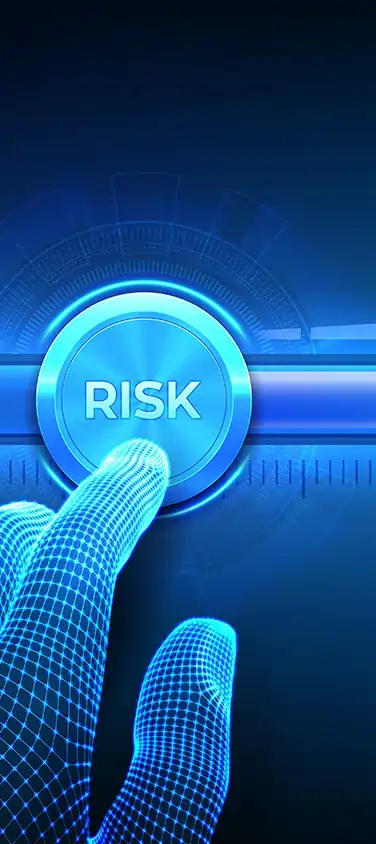 Risk Management System Development - 01