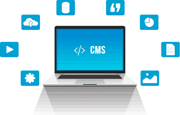 umbraco web development